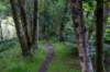 breconbeacons_076_small.jpg