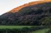 breconbeacons_078_small.jpg