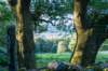 breconbeacons_085_small.jpg