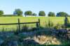 breconbeacons_094_small.jpg