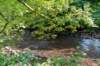 breconbeacons_108_small.jpg