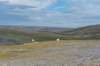 breconbeacons_133_small.jpg