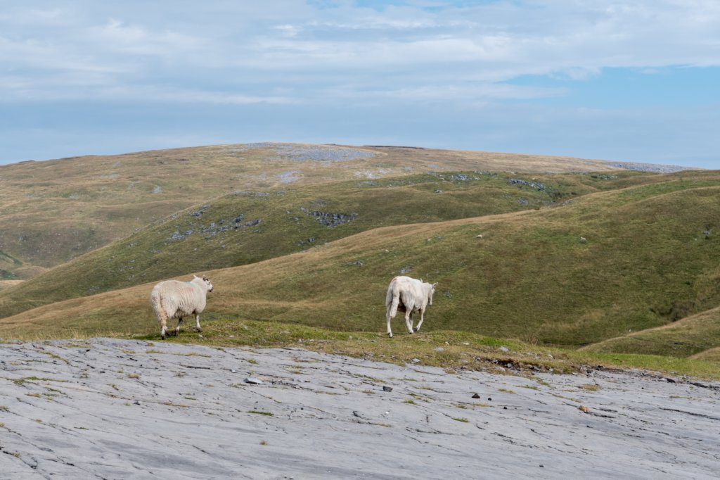 breconbeacons_135.jpg