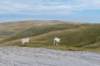 breconbeacons_135_small.jpg