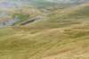 breconbeacons_137_small.jpg
