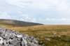 breconbeacons_142_small.jpg