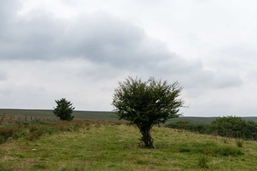 breconbeacons_145.jpg
