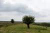 breconbeacons_145_small.jpg