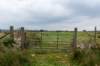 breconbeacons_146_small.jpg