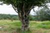 breconbeacons_147_small.jpg