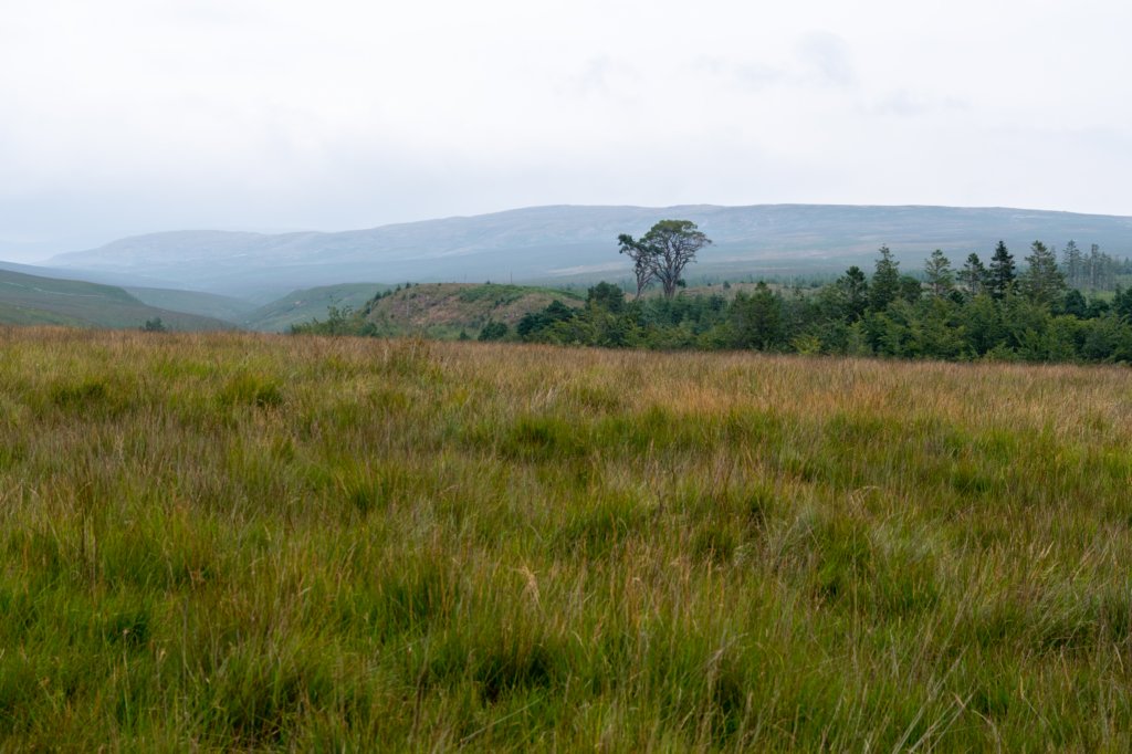 breconbeacons_149.jpg