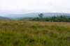 breconbeacons_149_small.jpg