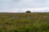 breconbeacons_150_small.jpg