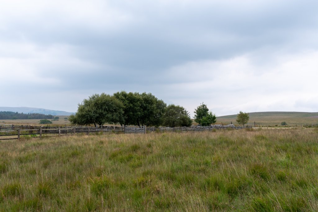 breconbeacons_151.jpg