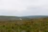 breconbeacons_153_small.jpg