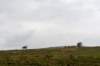 breconbeacons_155_small.jpg