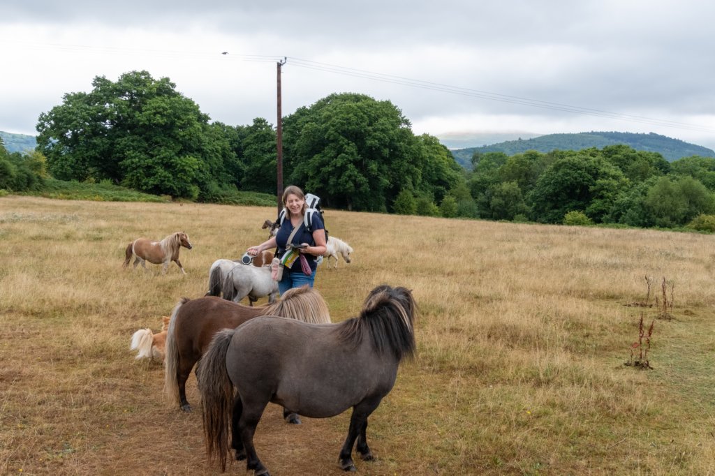 breconbeacons_160.jpg