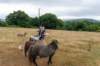 breconbeacons_160_small.jpg