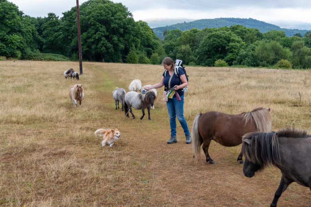 breconbeacons_161.jpg