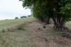 breconbeacons_163_small.jpg