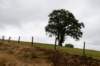 breconbeacons_166_small.jpg