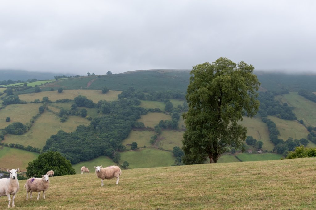 breconbeacons_167.jpg
