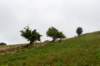 breconbeacons_168_small.jpg