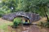 breconbeacons_174_small.jpg