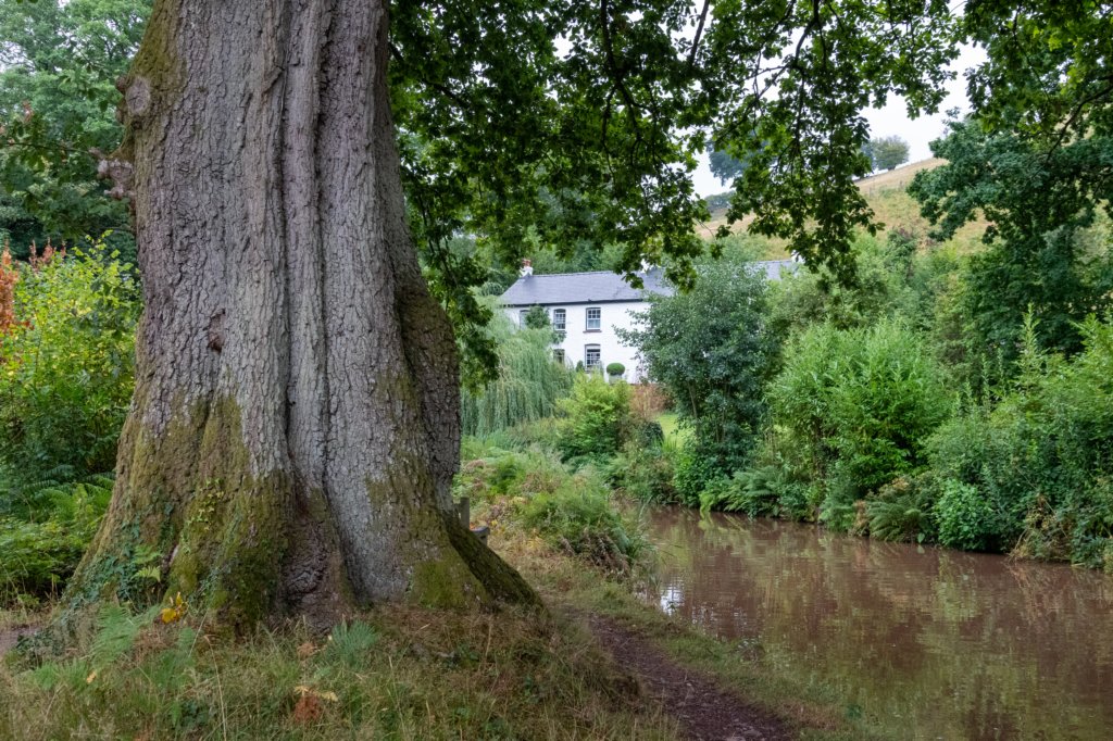 breconbeacons_176.jpg