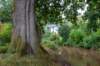 breconbeacons_176_small.jpg