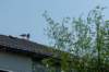 dsc_3468_small.jpg