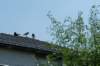 dsc_3469_small.jpg