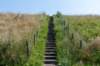 dsc_3473_small.jpg