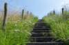 dsc_3474_small.jpg