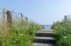 dsc_3475_small.jpg