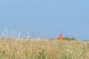 dsc_3478_small.jpg