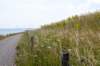 dsc_3479_small.jpg