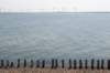 dsc_3483_small.jpg