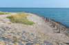 dsc_3484_small.jpg