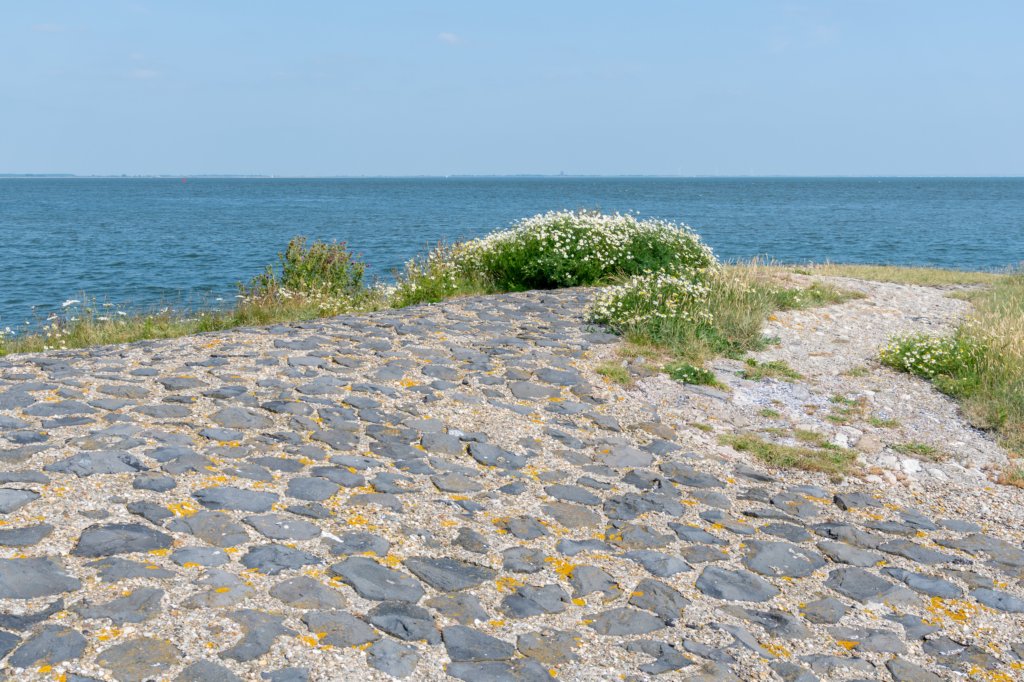 dsc_3485.jpg
