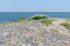 dsc_3485_small.jpg
