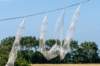 dsc_3489_small.jpg
