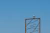 dsc_3492_small.jpg