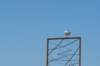 dsc_3493_small.jpg