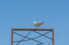 dsc_3494_small.jpg