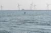 dsc_3501_small.jpg