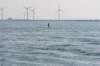 dsc_3502_small.jpg