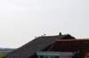 dsc_3508_small.jpg