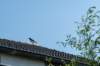 dsc_3510_small.jpg