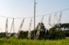 dsc_3511_small.jpg